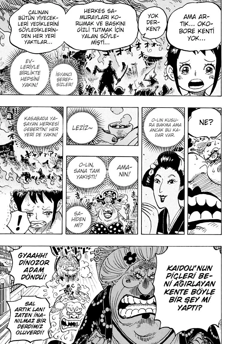 One Piece - Bölüm 1011 - Sayfa 16