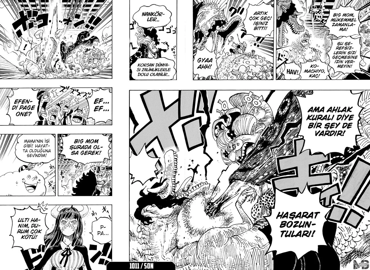 One Piece - Bölüm 1011 - Sayfa 17