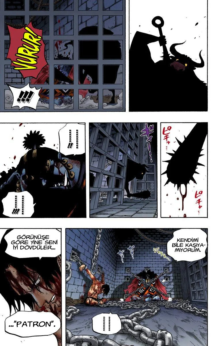 One Piece - Bölüm 528 - Sayfa 17