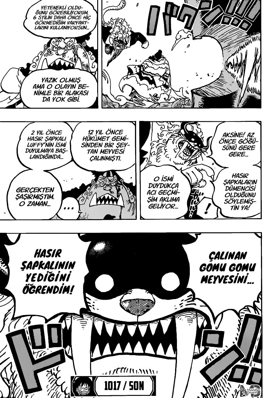 One Piece - Bölüm 1017 - Sayfa 17