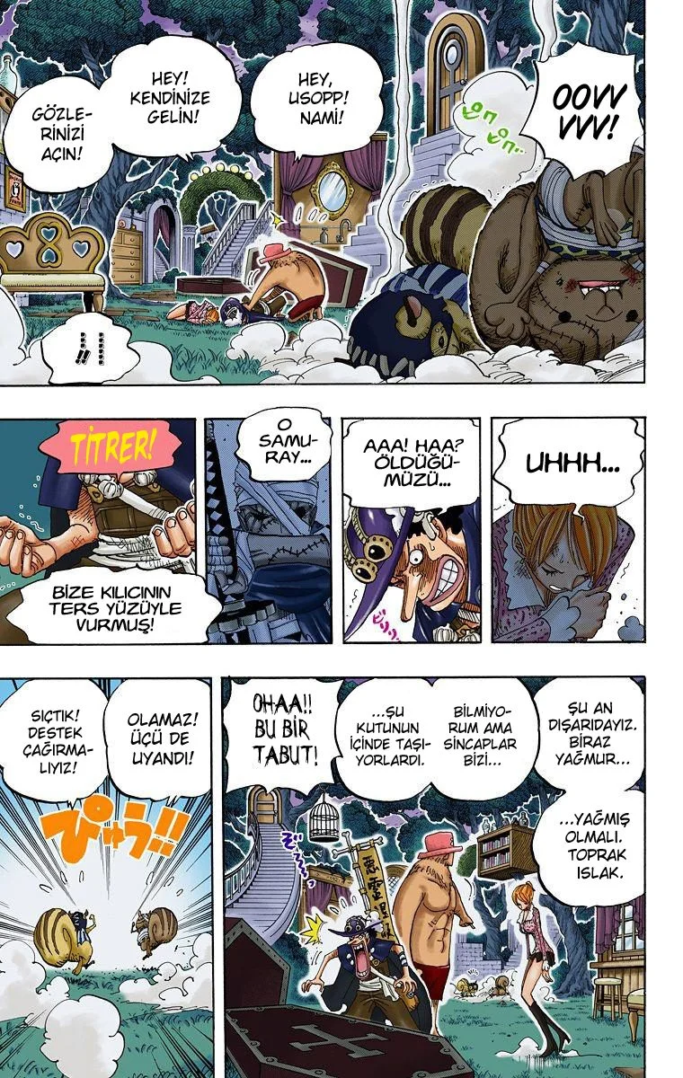 One Piece - Bölüm 451 - Sayfa 9