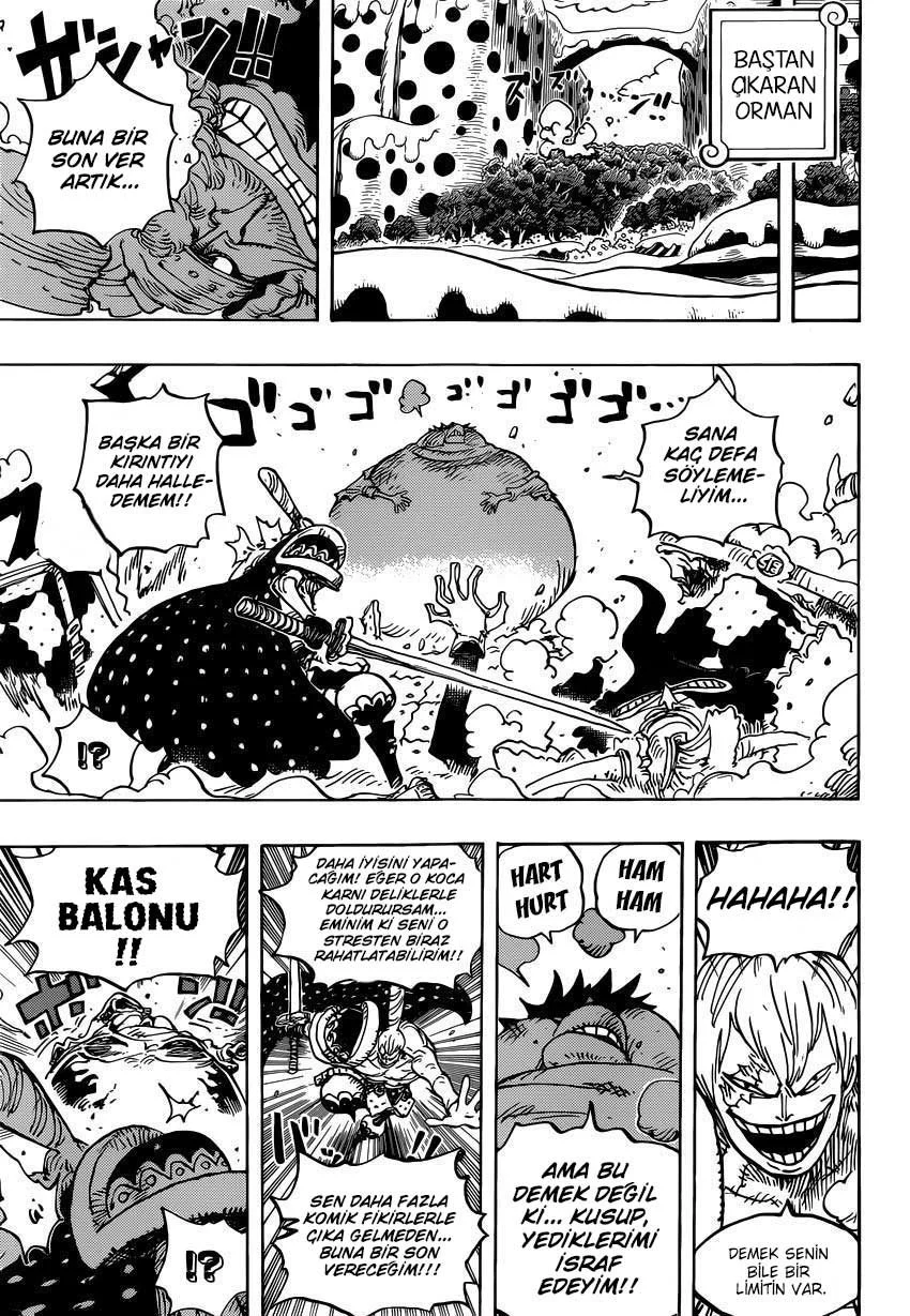 One Piece - Bölüm 842 - Sayfa 10