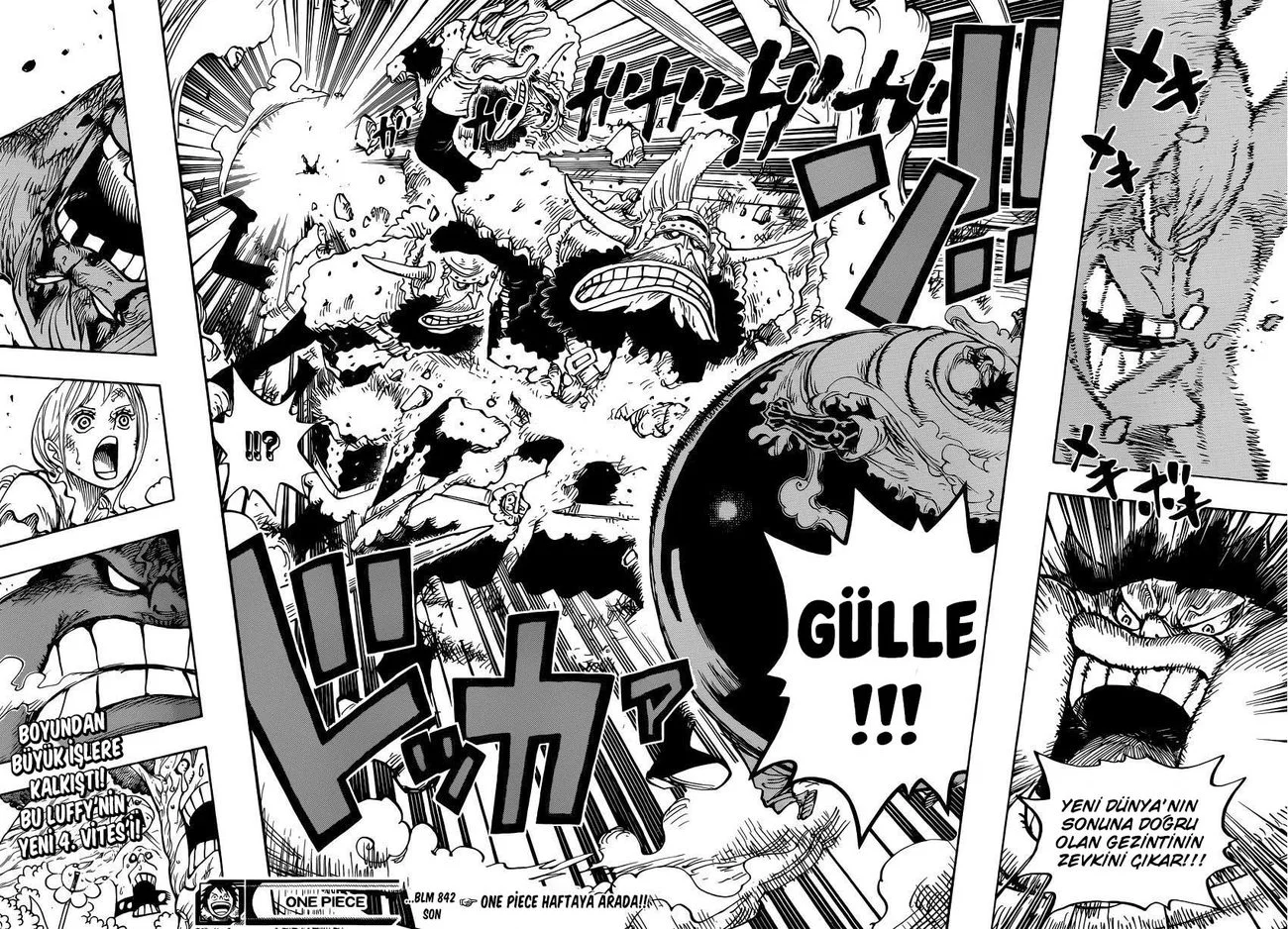 One Piece - Bölüm 842 - Sayfa 13