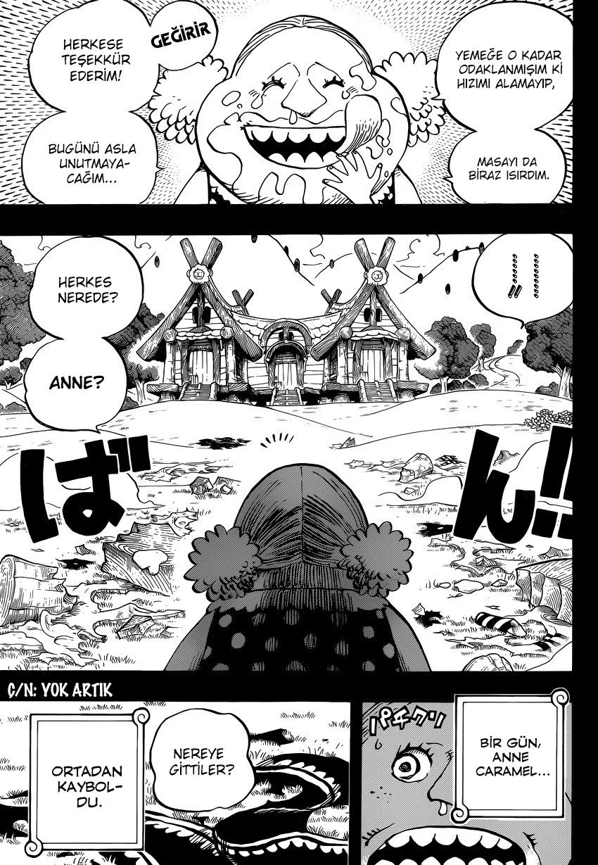 One Piece - Bölüm 867 - Sayfa 13