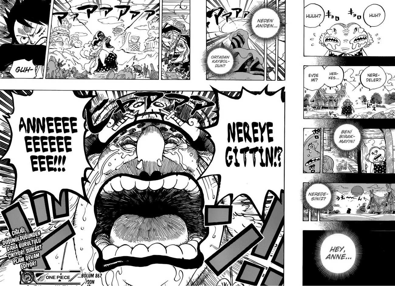 One Piece - Bölüm 867 - Sayfa 14