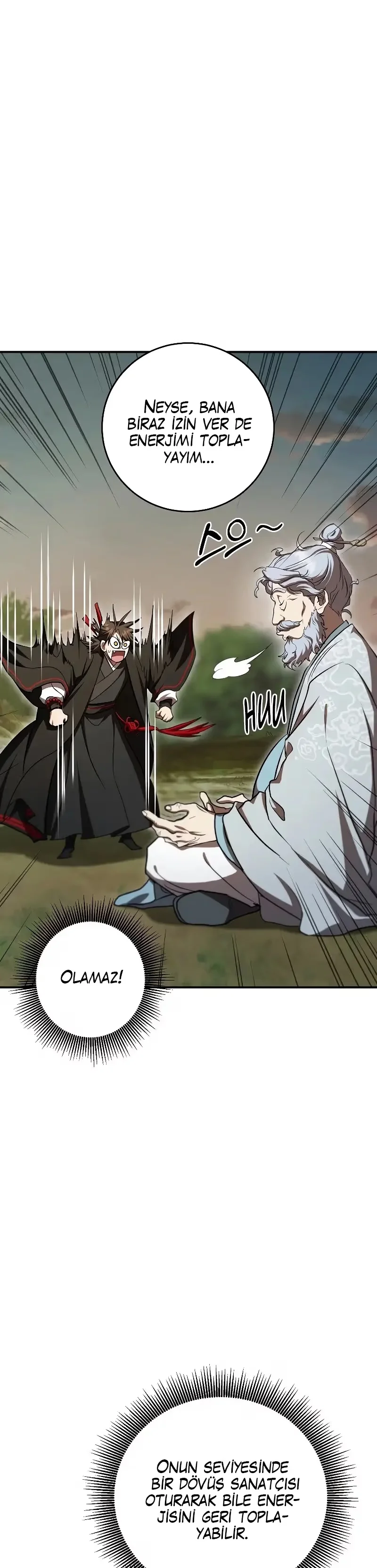 Wandering Warrior of Wudang - Bölüm 133 - Sayfa 15