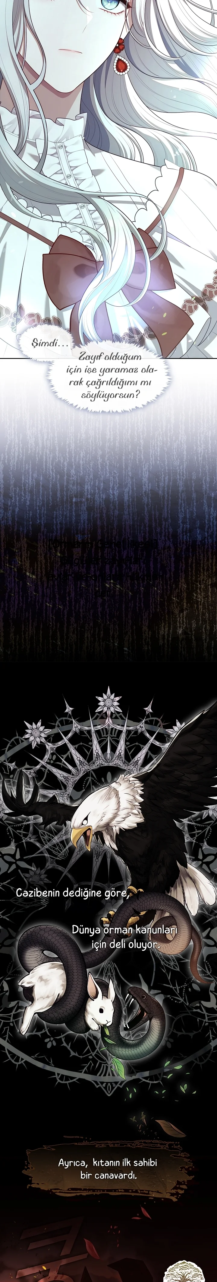 The S-Class Hunter Doesn't Want to Be a Villainous Princess - Bölüm 11 - Sayfa 6