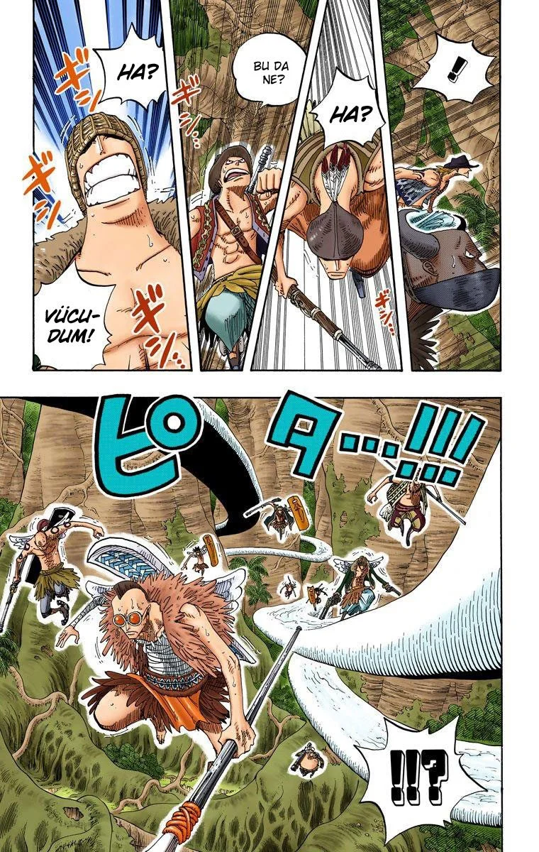 One Piece - Bölüm 256 - Sayfa 13