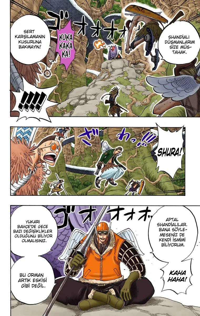 One Piece - Bölüm 256 - Sayfa 14