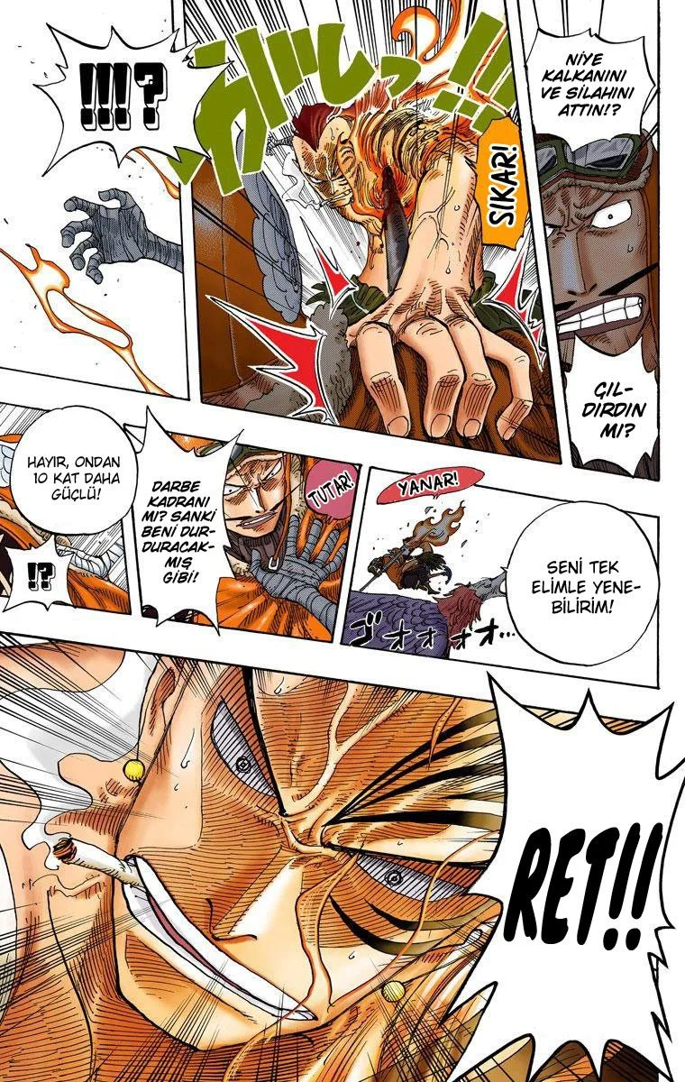 One Piece - Bölüm 256 - Sayfa 17