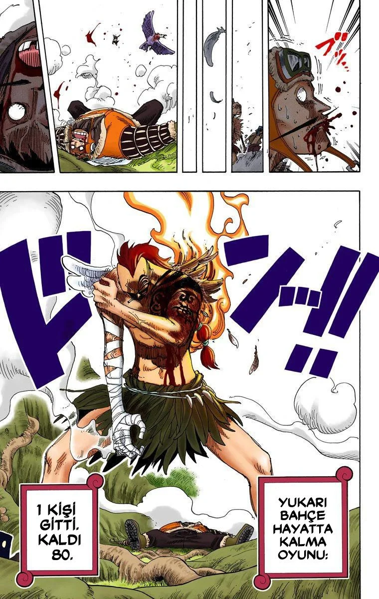 One Piece - Bölüm 256 - Sayfa 19