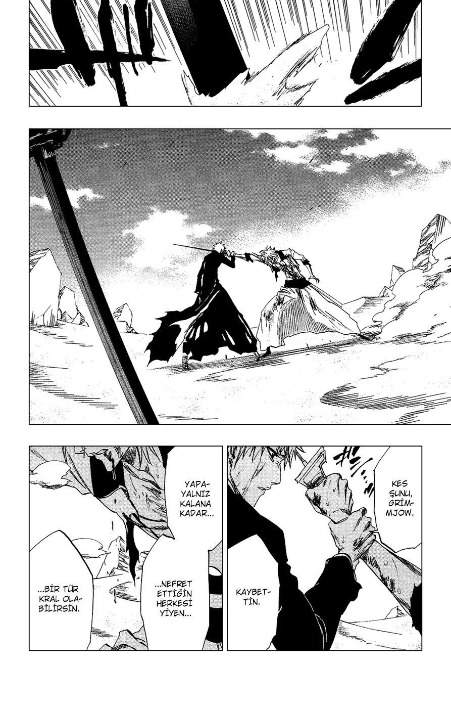 Bleach - Bölüm 286 - Sayfa 14