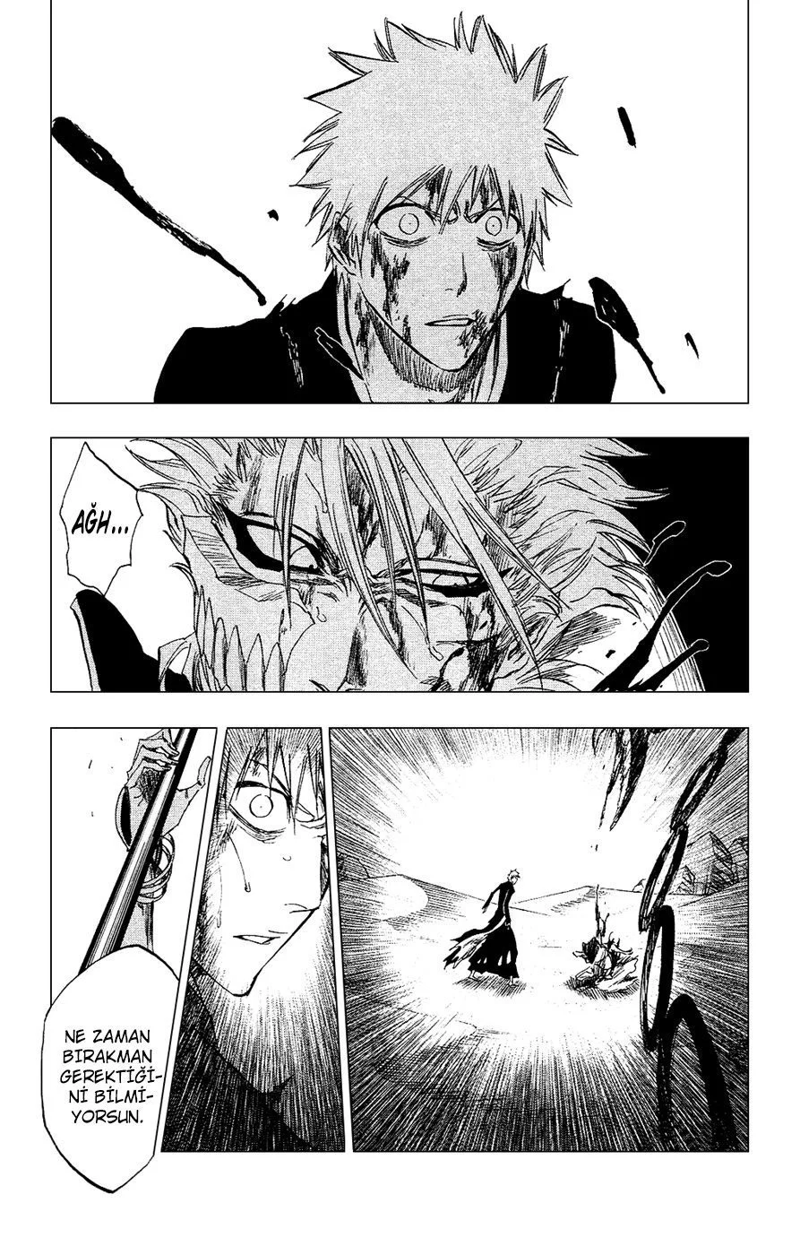 Bleach - Bölüm 286 - Sayfa 17