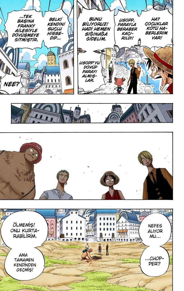 One Piece - Bölüm 329 - Sayfa 17