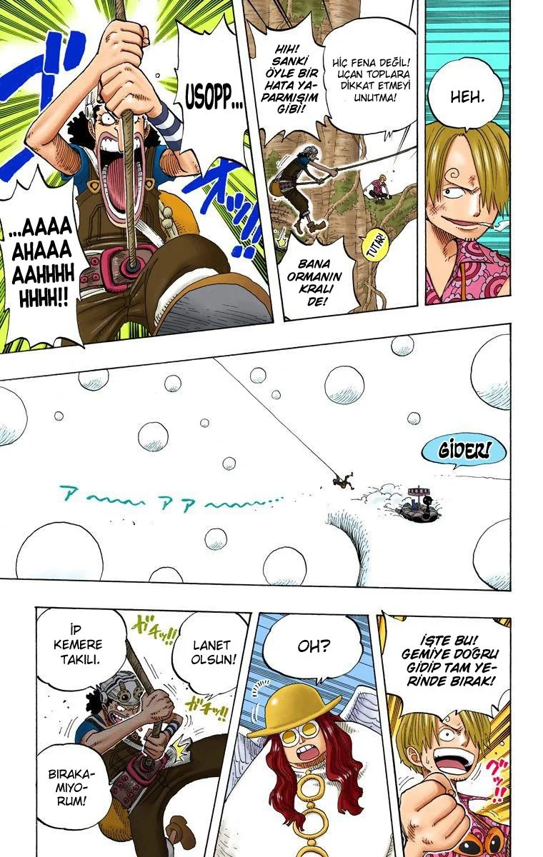 One Piece - Bölüm 247 - Sayfa 15
