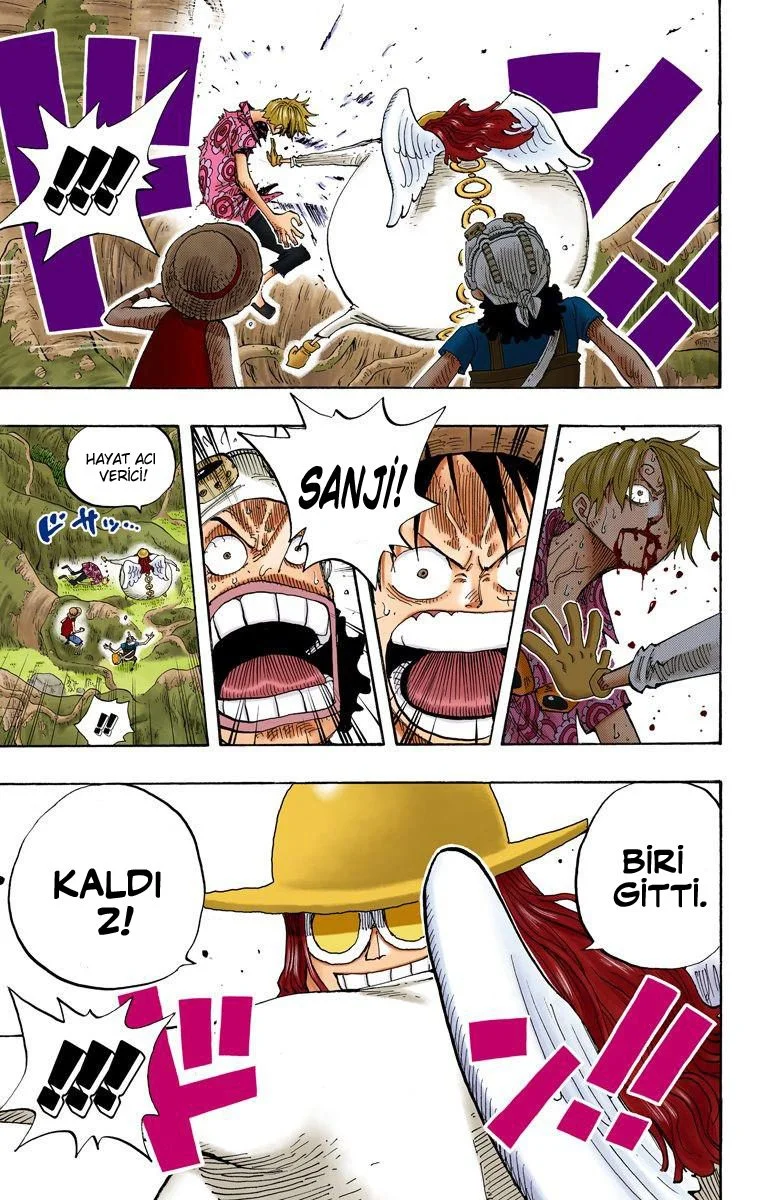 One Piece - Bölüm 247 - Sayfa 17