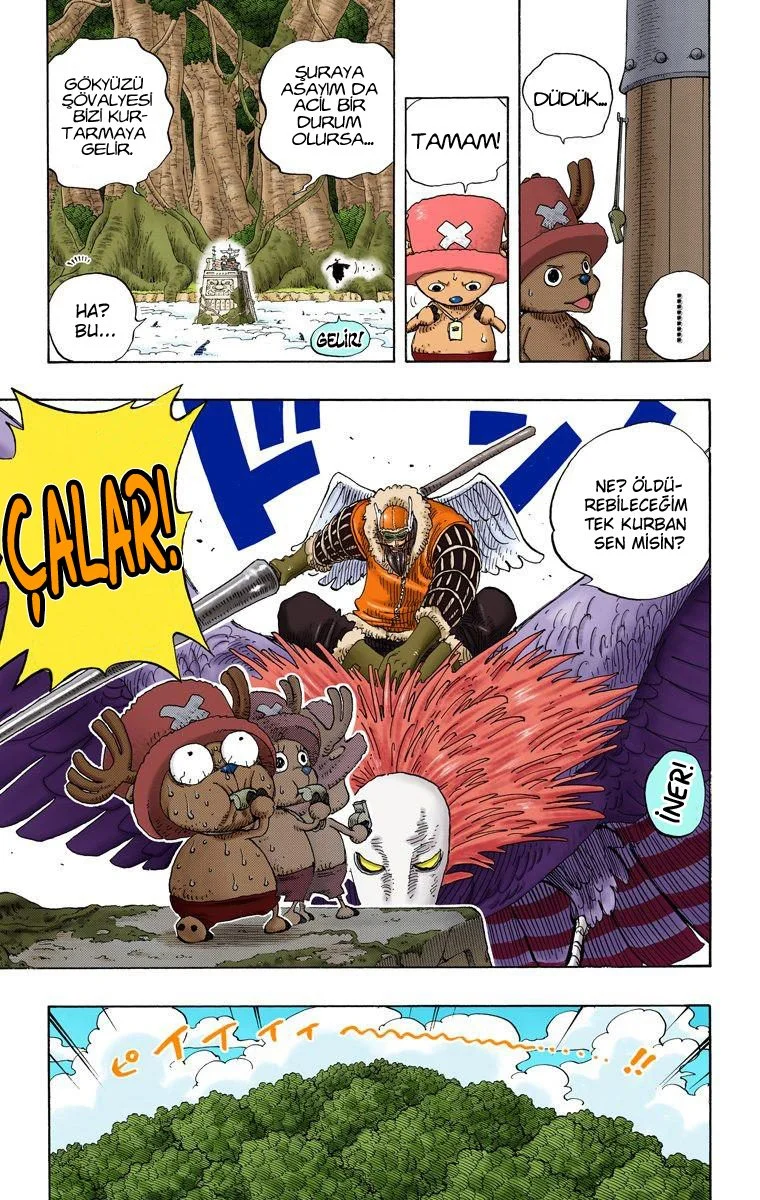 One Piece - Bölüm 247 - Sayfa 19
