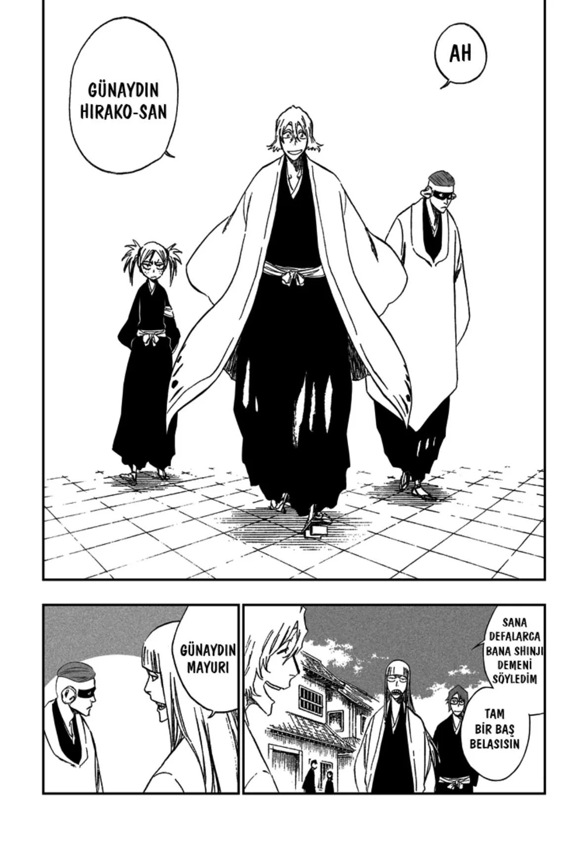 Bleach - Bölüm 315.5 - Sayfa 5