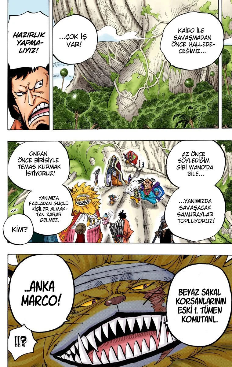 One Piece - Bölüm 820 - Sayfa 10