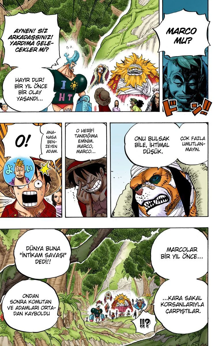One Piece - Bölüm 820 - Sayfa 11