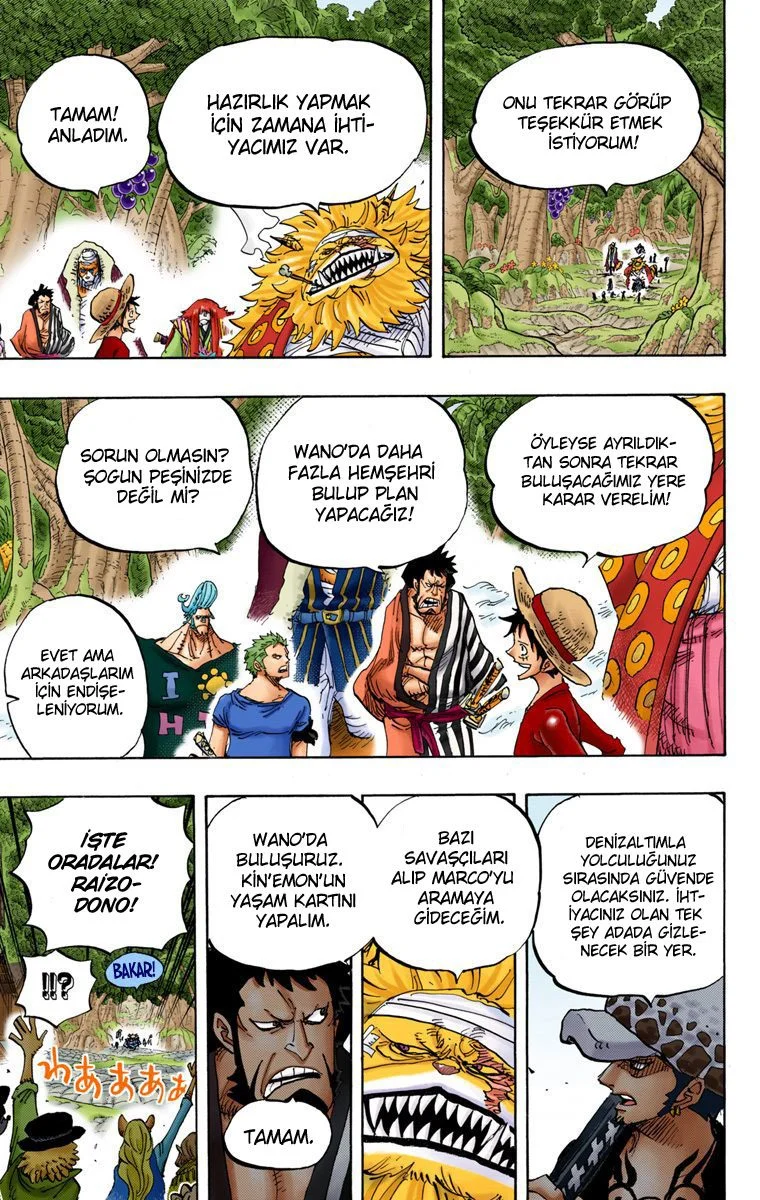 One Piece - Bölüm 820 - Sayfa 13