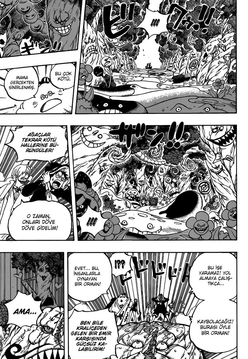 One Piece - Bölüm 874 - Sayfa 10