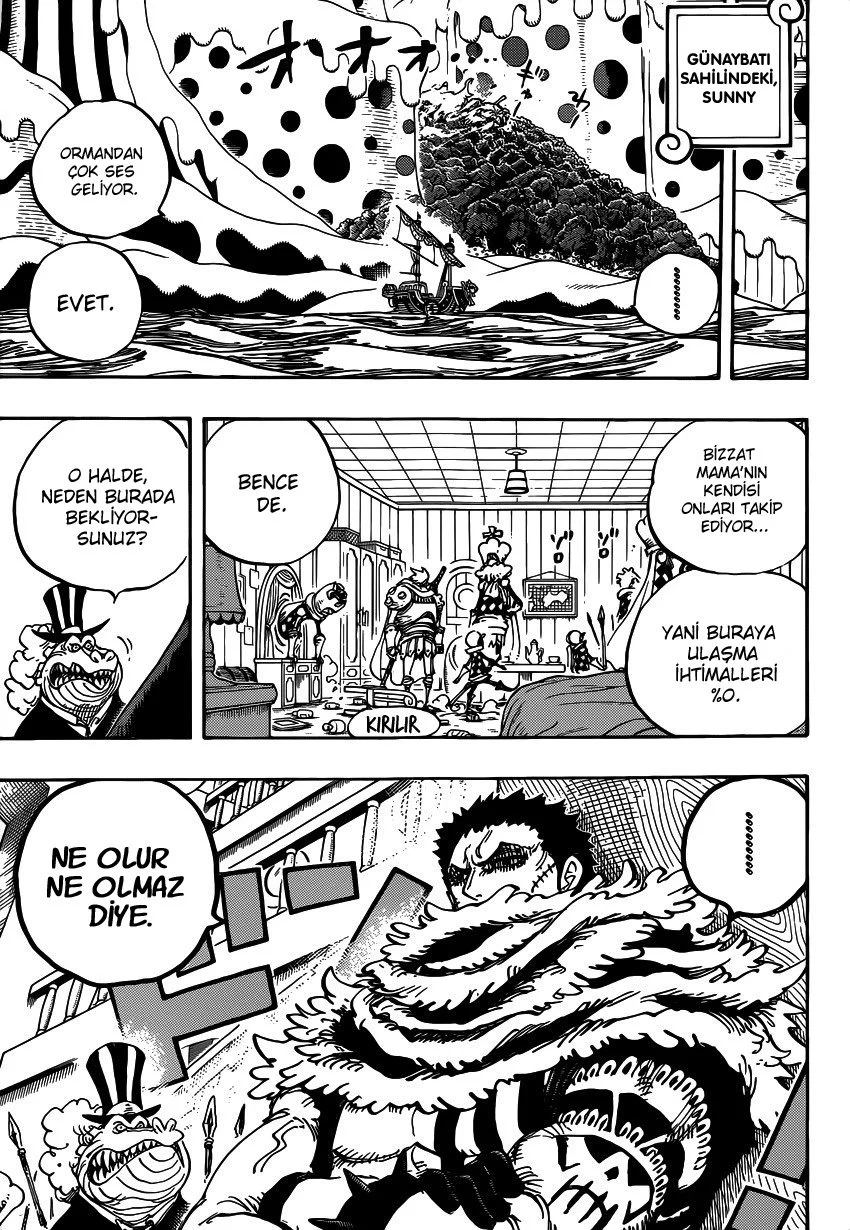One Piece - Bölüm 874 - Sayfa 14