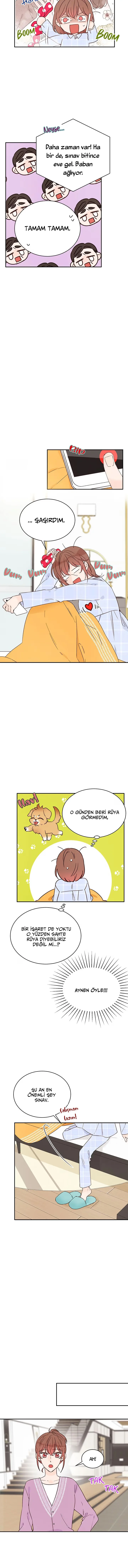 Please Give Me the Stamp of Approval! - Bölüm 16 - Sayfa 6