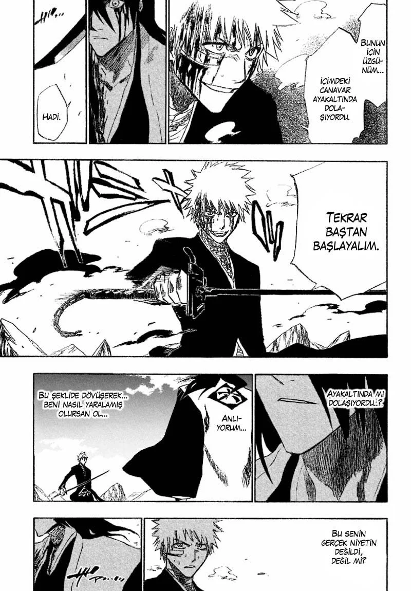Bleach - Bölüm 166 - Sayfa 14