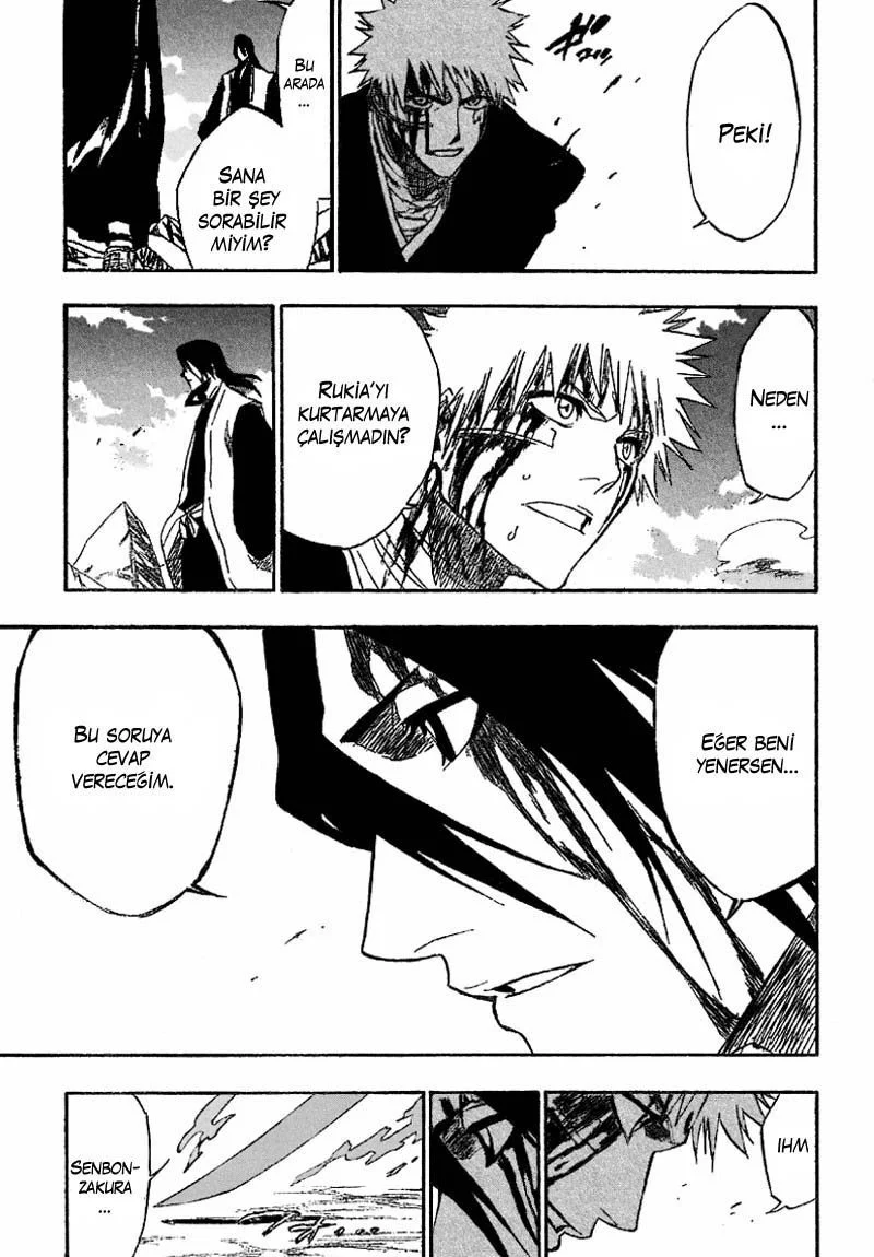 Bleach - Bölüm 166 - Sayfa 16