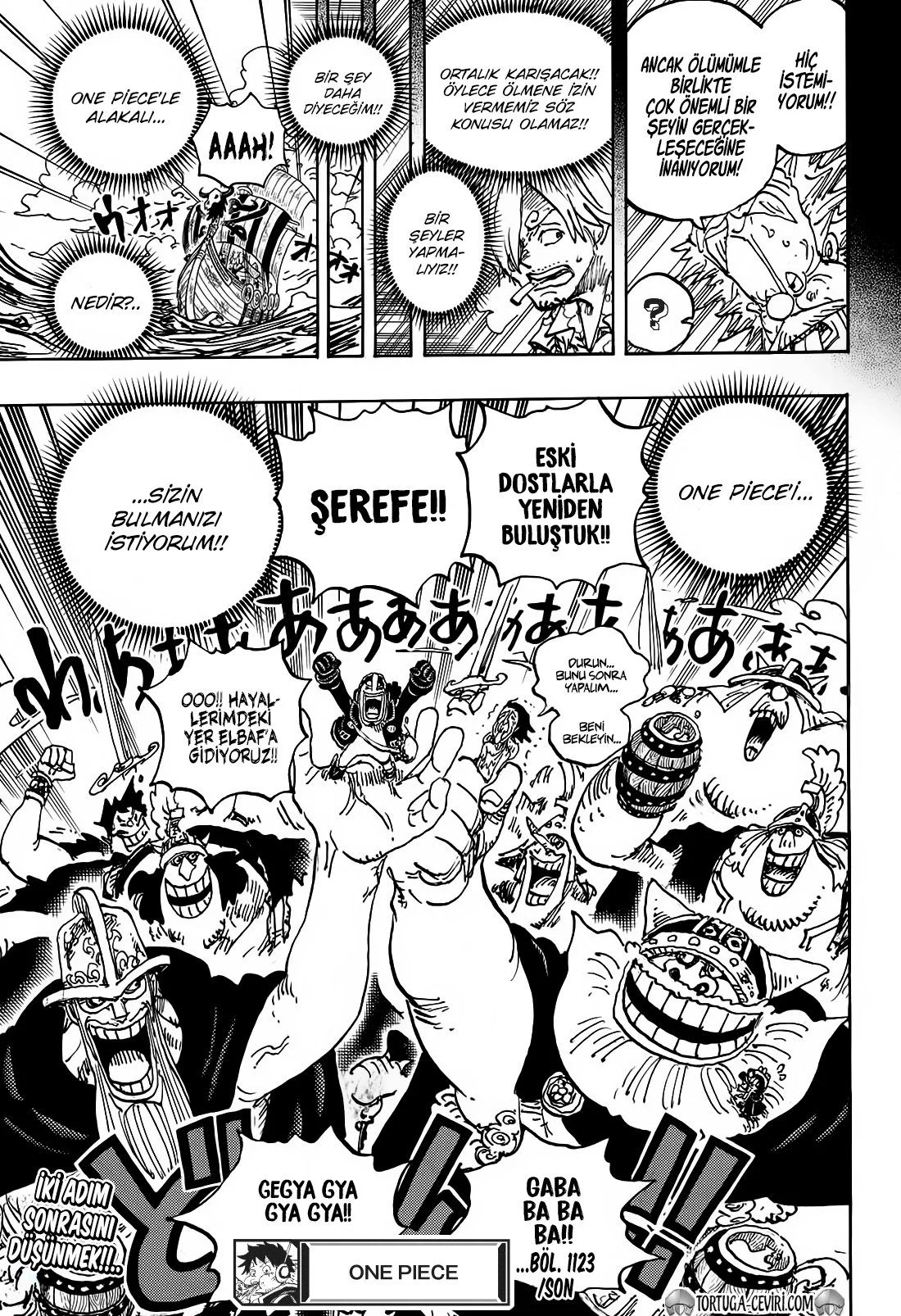 One Piece - Bölüm 1123 - Sayfa 16