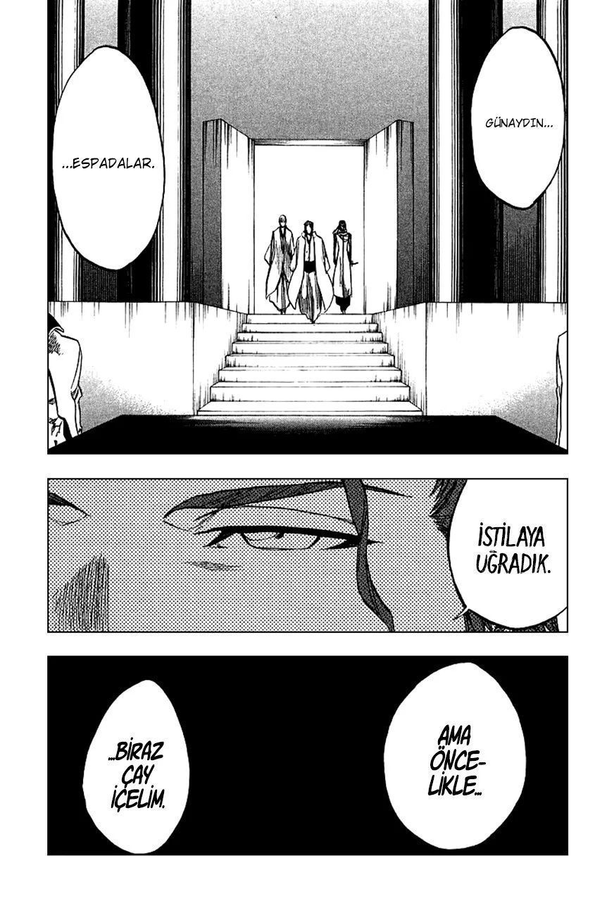 Bleach - Bölüm 244 - Sayfa 17