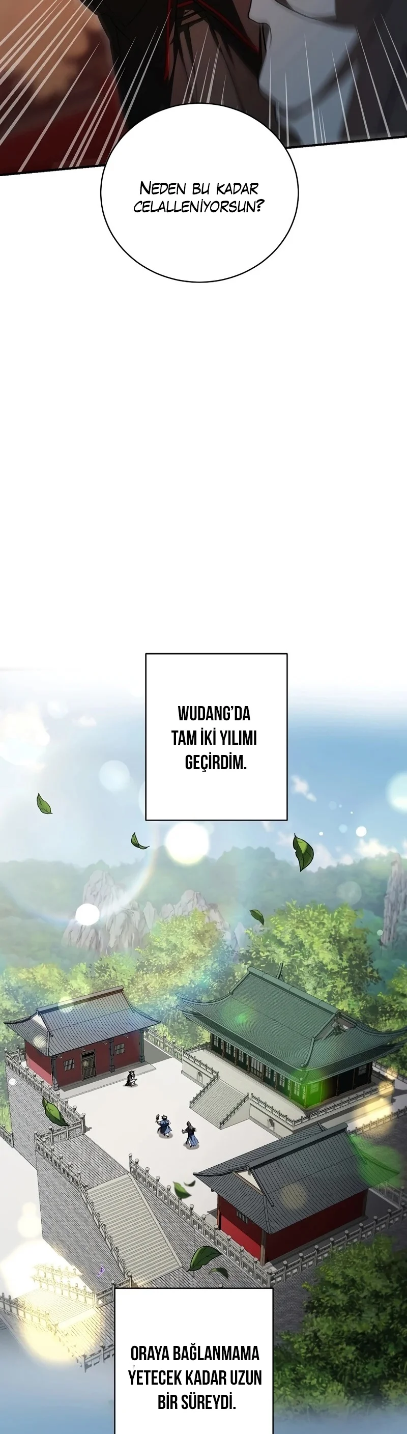 Wandering Warrior of Wudang - Bölüm 160 - Sayfa 15