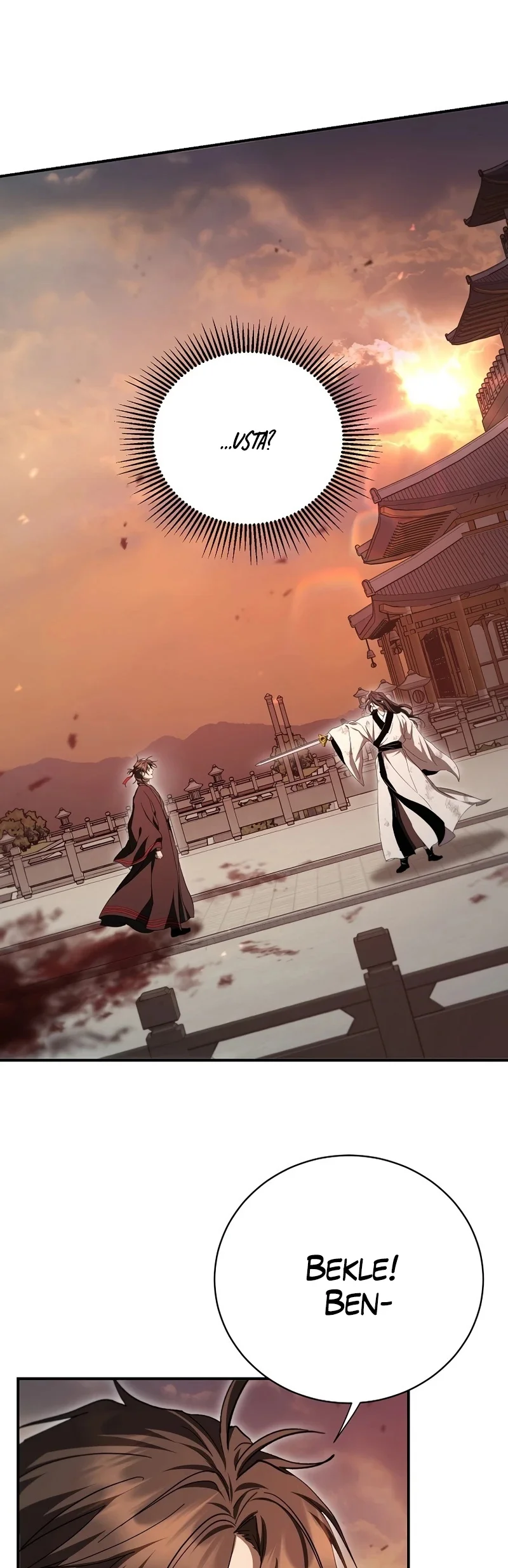 Wandering Warrior of Wudang - Bölüm 160 - Sayfa 24