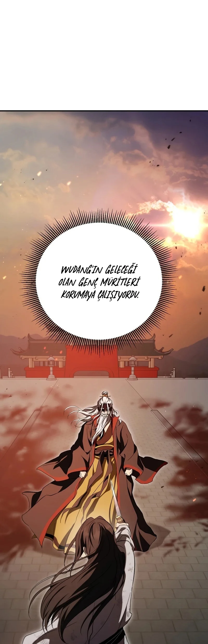 Wandering Warrior of Wudang - Bölüm 160 - Sayfa 28