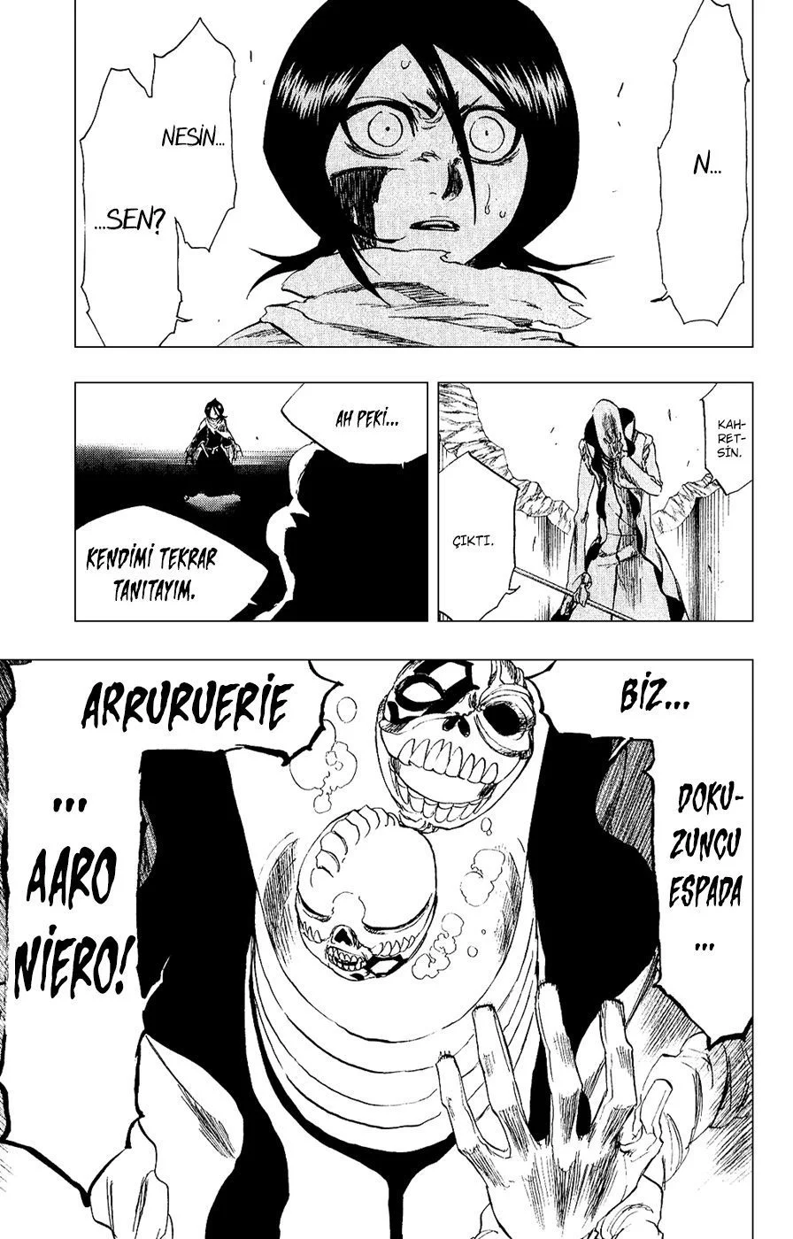 Bleach - Bölüm 266 - Sayfa 19