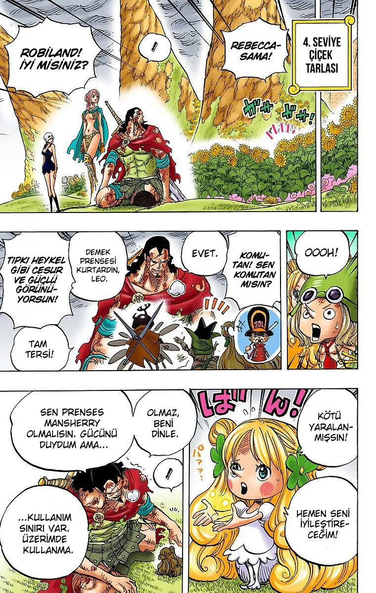 One Piece - Bölüm 779 - Sayfa 6