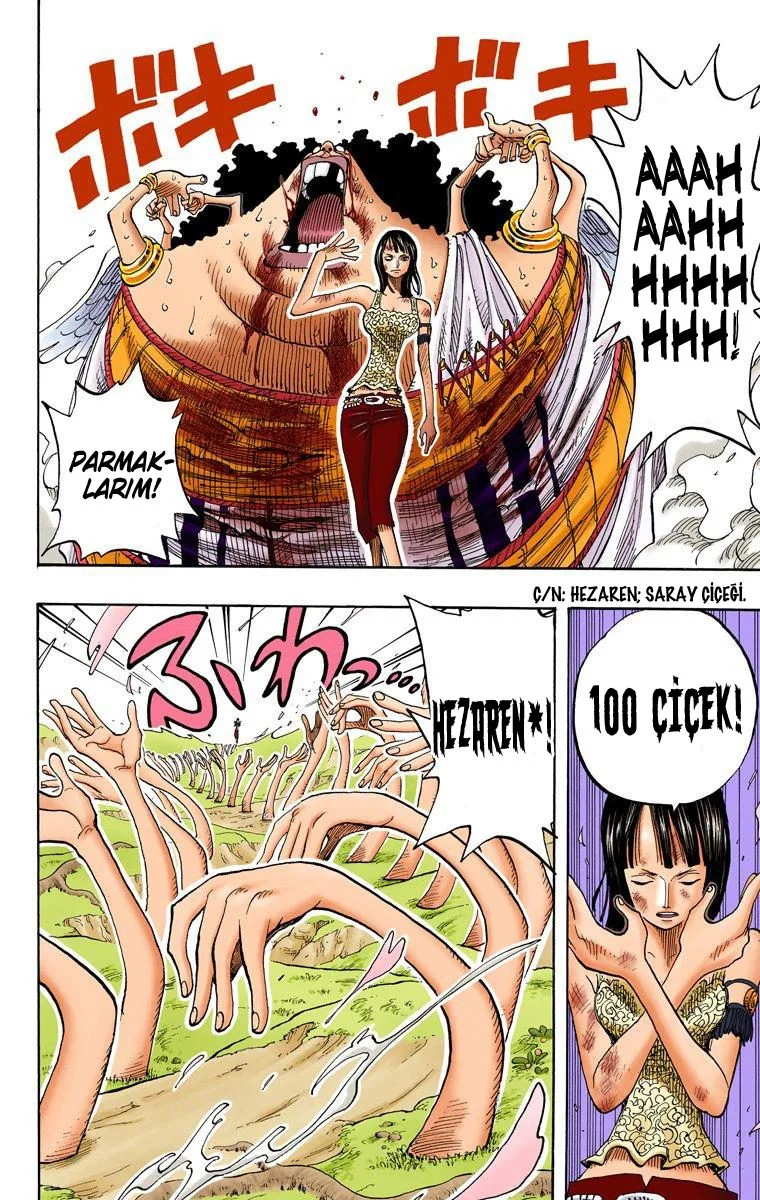 One Piece - Bölüm 265 - Sayfa 16