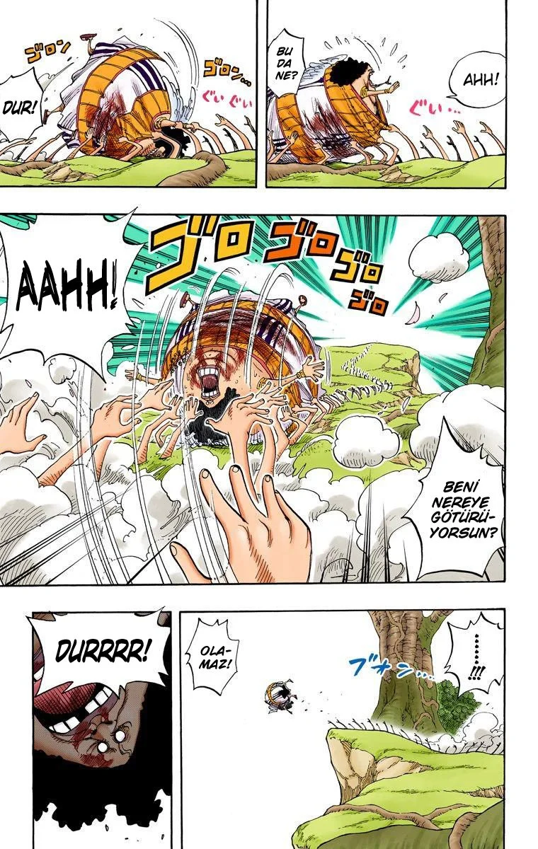 One Piece - Bölüm 265 - Sayfa 17