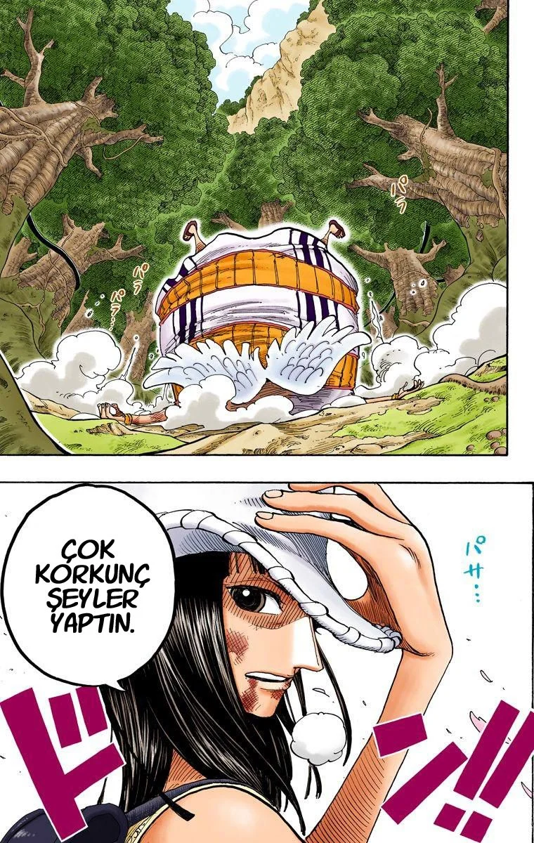 One Piece - Bölüm 265 - Sayfa 19