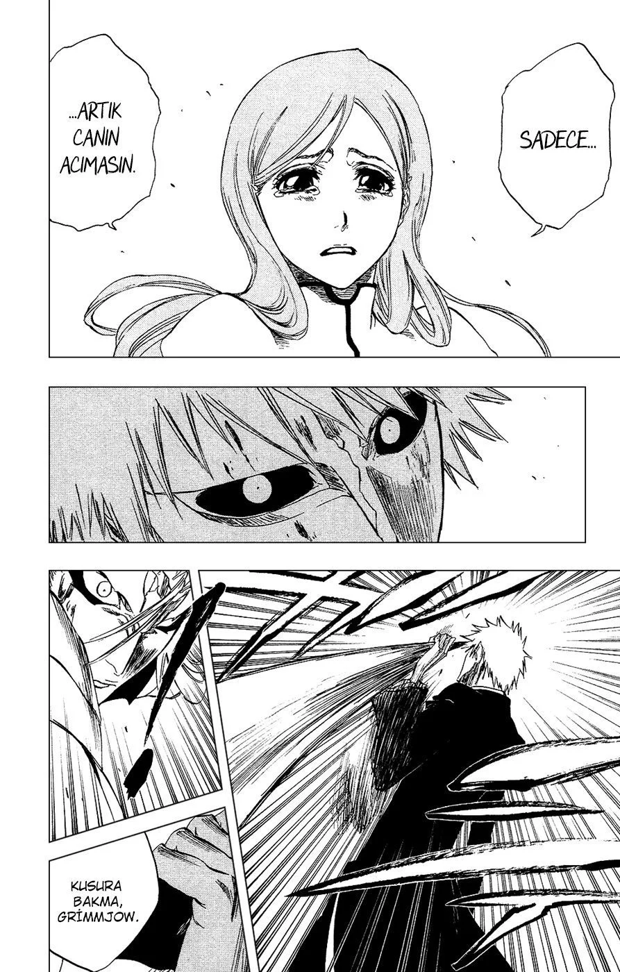Bleach - Bölüm 283 - Sayfa 17