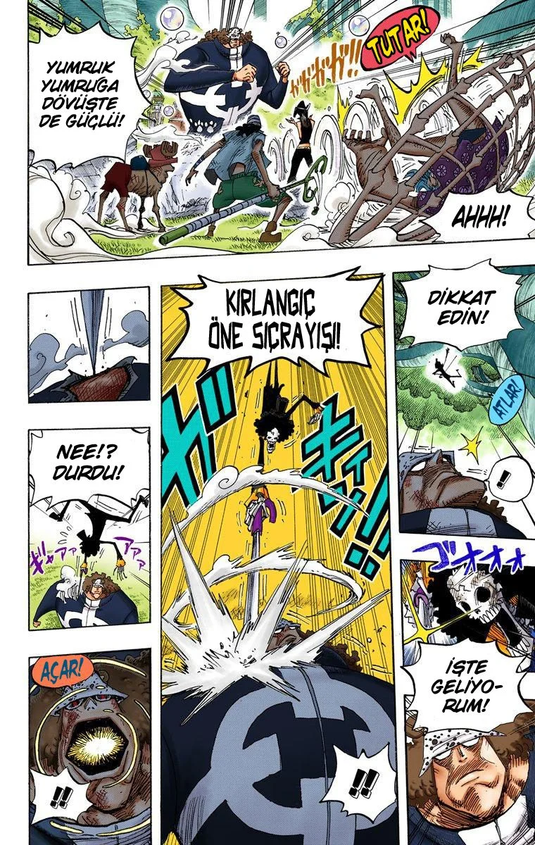 One Piece - Bölüm 510 - Sayfa 12