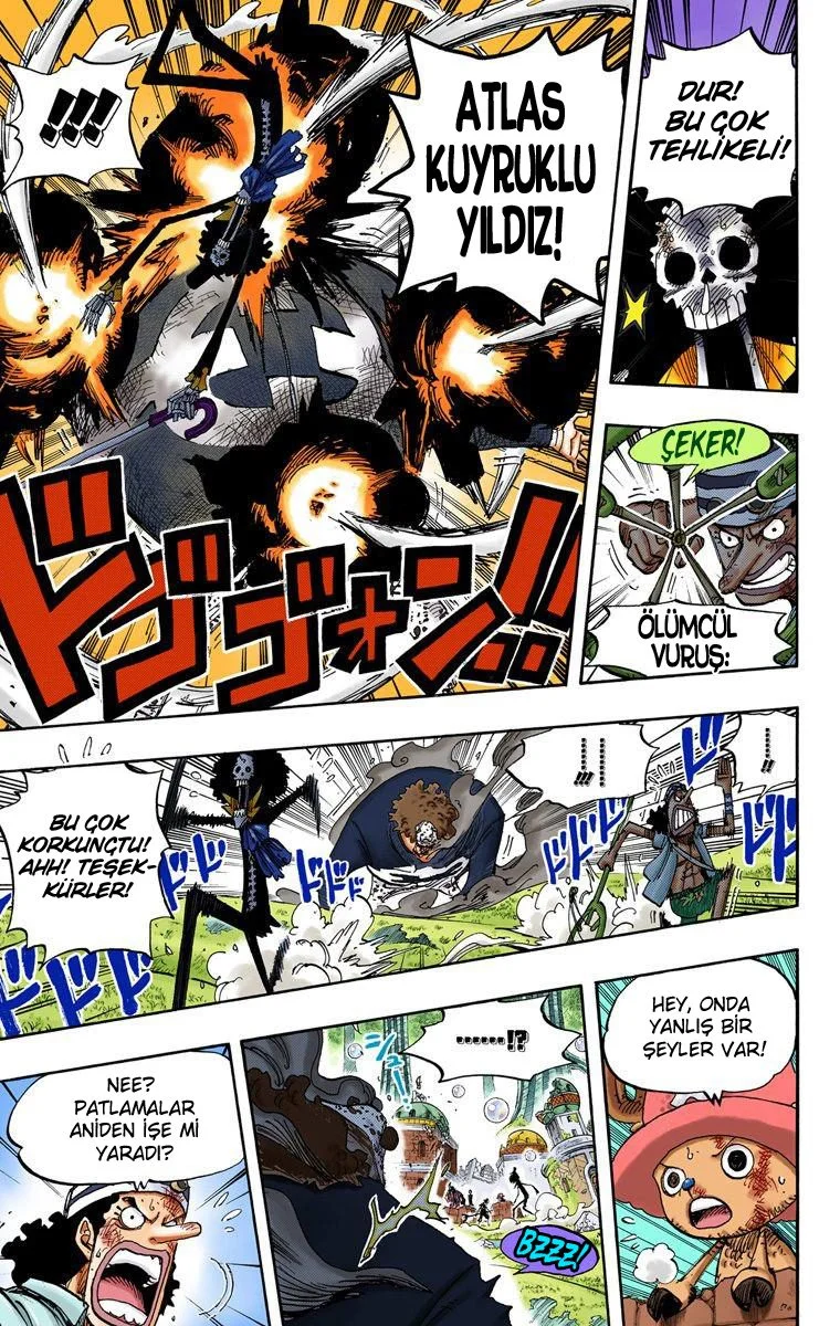 One Piece - Bölüm 510 - Sayfa 13