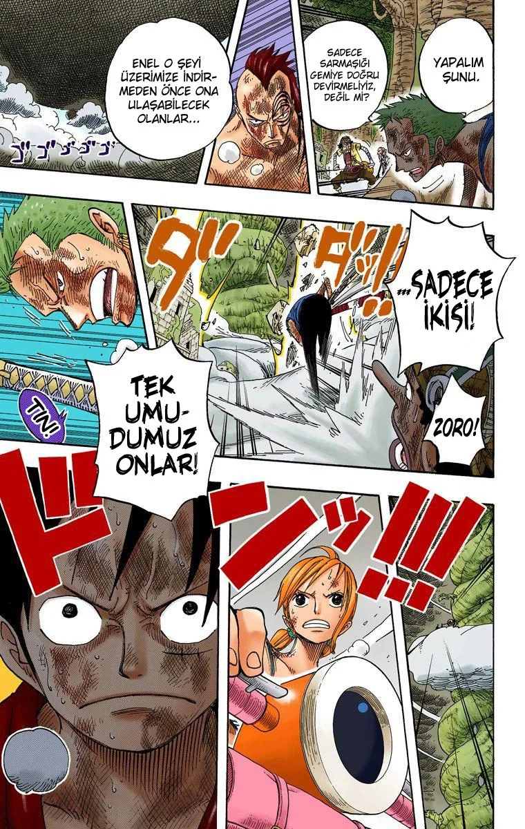 One Piece - Bölüm 295 - Sayfa 17