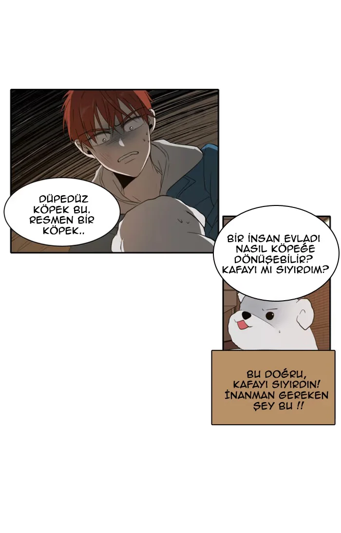 A Good Day to Be a Dog - Bölüm 11 - Sayfa 10