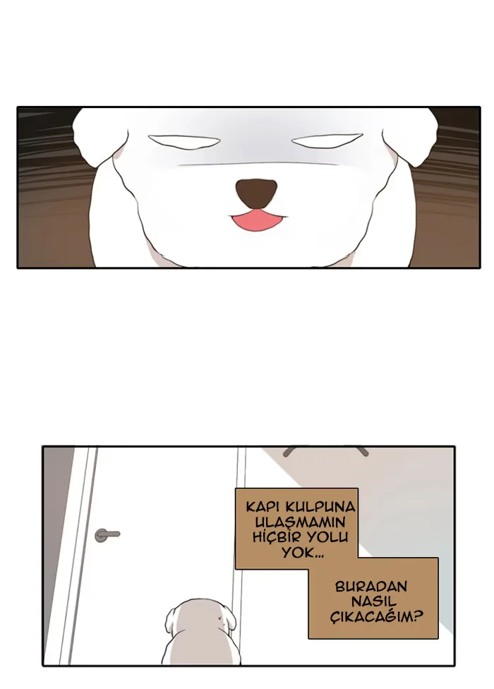 A Good Day to Be a Dog - Bölüm 11 - Sayfa 22