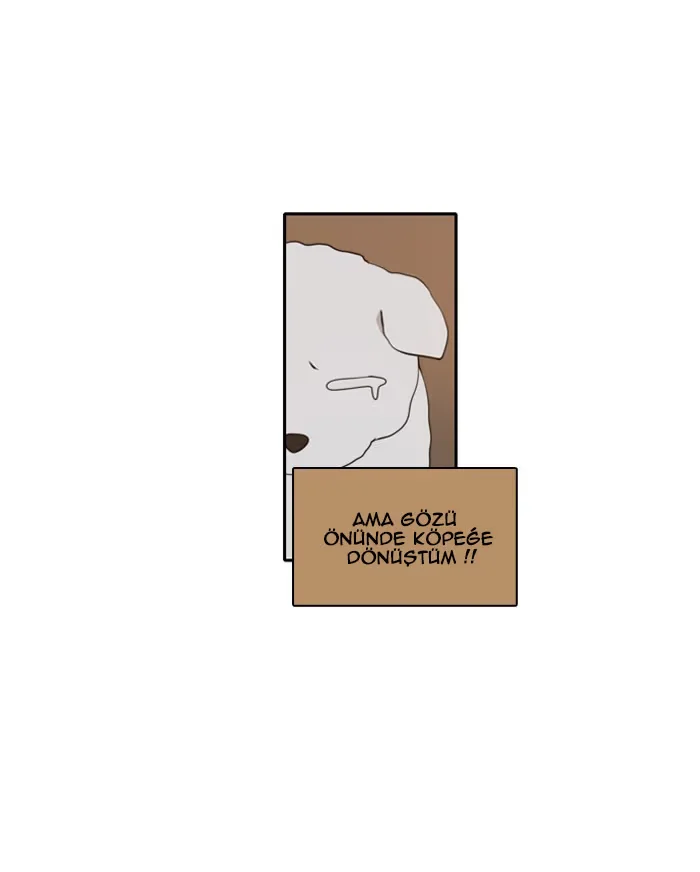 A Good Day to Be a Dog - Bölüm 11 - Sayfa 5
