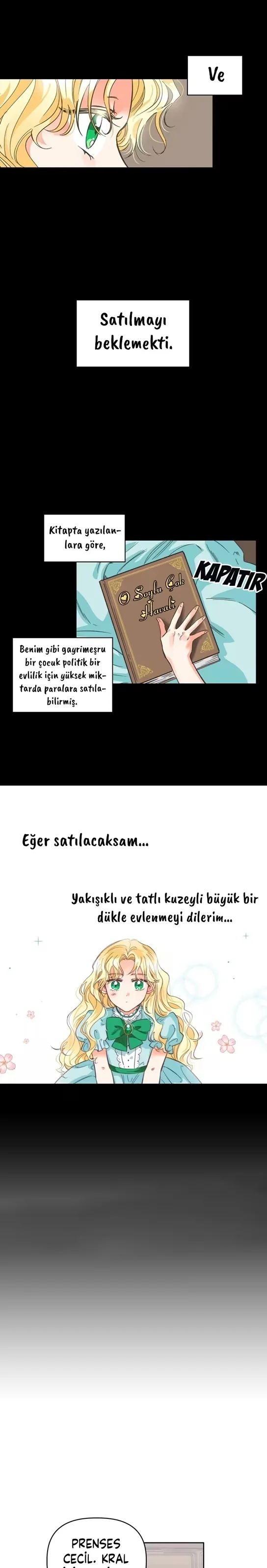 A Villain Is a Good Match for a Tyrant - Bölüm 1 - Sayfa 5
