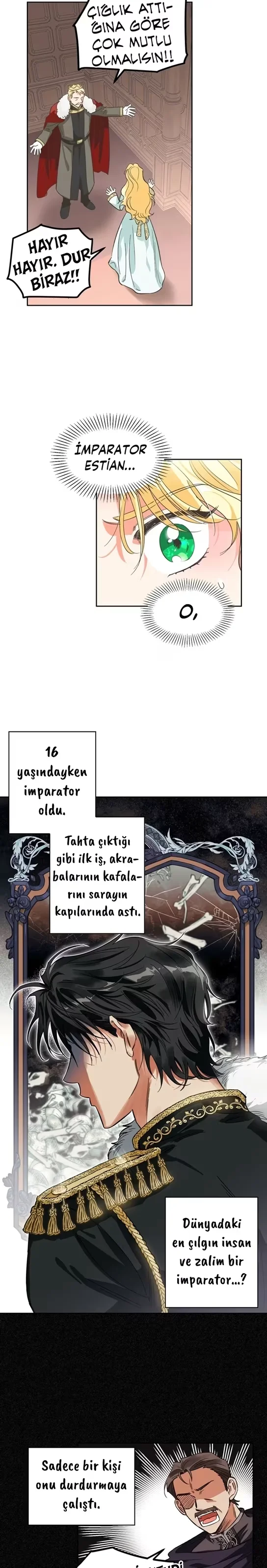 A Villain Is a Good Match for a Tyrant - Bölüm 1 - Sayfa 9