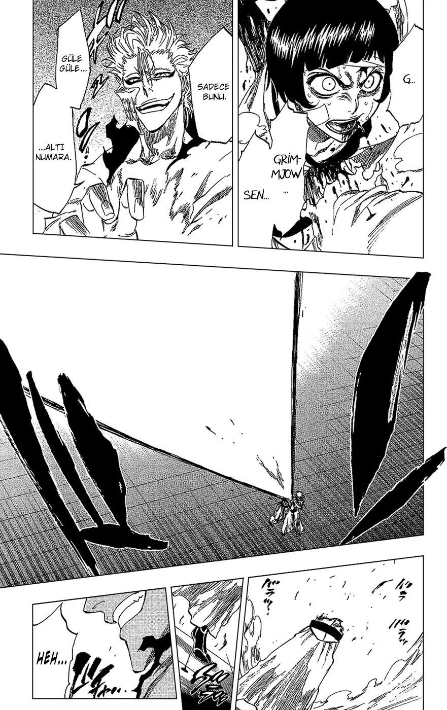 Bleach - Bölüm 240 - Sayfa 17